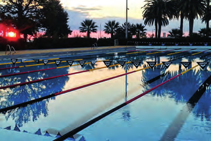 Horaire Piscine Antibes