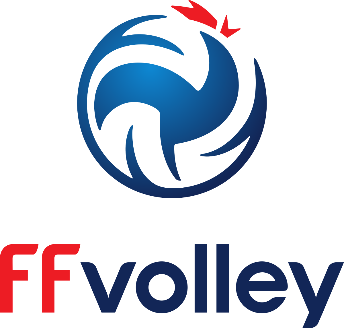 Fédération Française de Volleyball